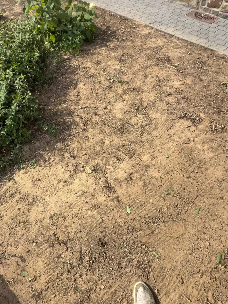 Le sol préparé et nivelé, prêt à planter.