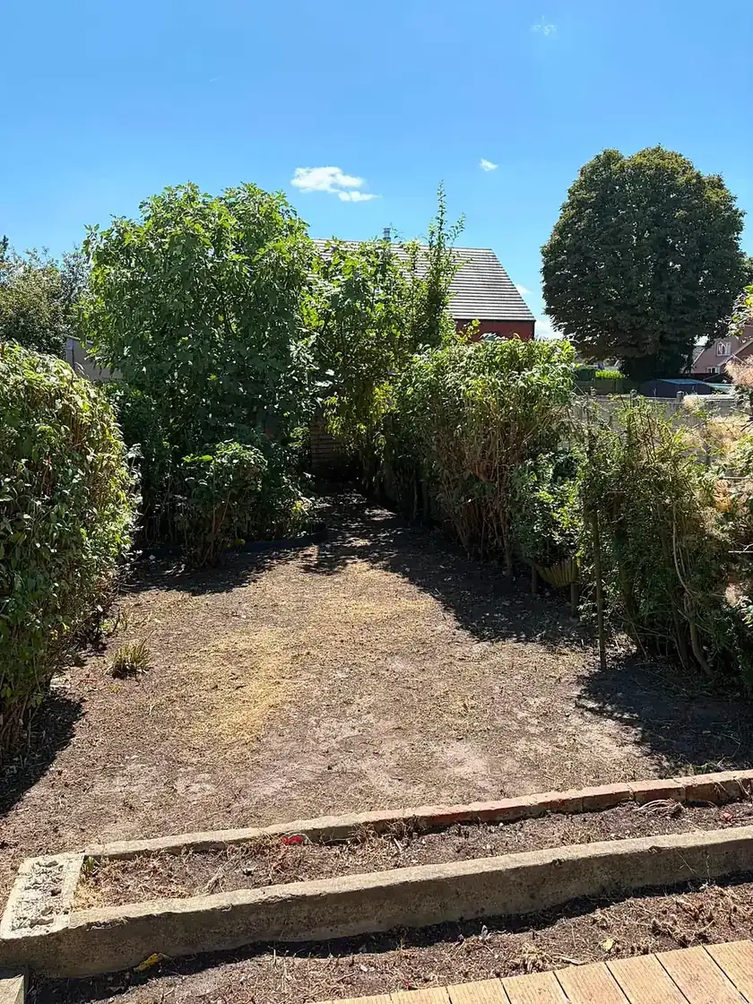 Le même jardin dégagé jusqu'au sol, bordures réapparues.