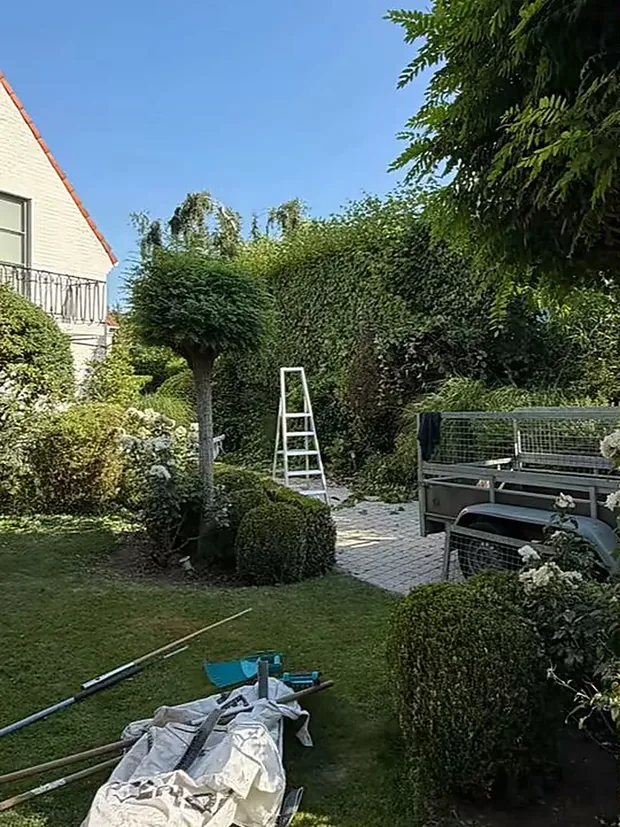 Jardin en cours de chantier, bâche et outils au sol.